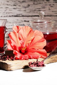 Na co pomaga hibiskus? Właściwości i zastosowanie kwiatów ketmii