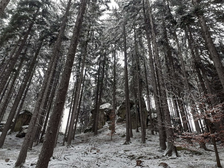 Zimowa wyprawa do rezerwatu przyrody Głazy Krasnoludków - propozycja nie tylko na weekend