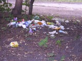 Nasz ekologiczny patrol: Ktoś wysypał śmieci przy ul. Orzegowskiej w Rudzie