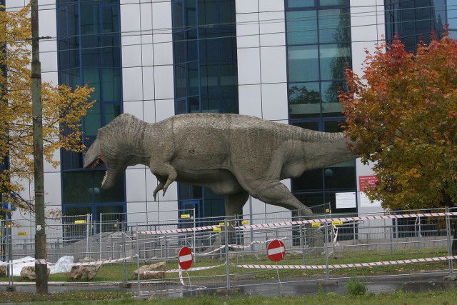 Mamy tyranozaura! Stoi przed Wydziałem Nauk O Ziemi Uniwersytetu Śląskiego w Sosnowcu. Katowice np.  betonowe żaby w centrum.