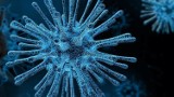 Koronawirus. 15 nowych zakażeń w regionie, w tym jedno w powiecie pleszewskim przyniósł popołudniowy raport Ministerstwa Zdrowia