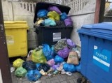 Śmieci znów wylewają się z kubłów na podwórkach w Bydgoszczy. Miejska spółka ma kłopoty?