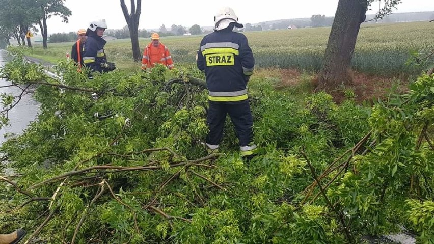 Zalane drogi i złamany konar w gm. Sulejów. Strażacy z...