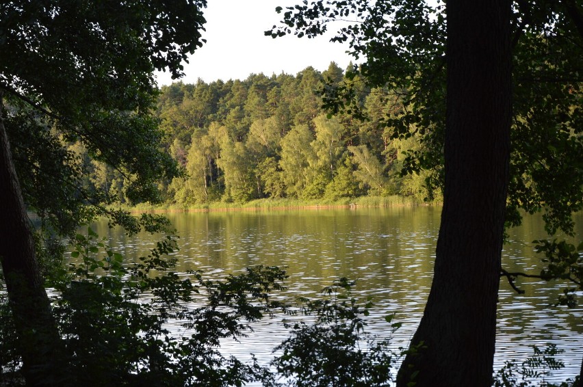 Jezioro Dziarg znajduje się koło Kosobudza, w powiecie...