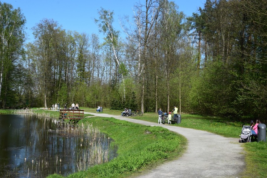 Wieluński Ogród Botaniczny...