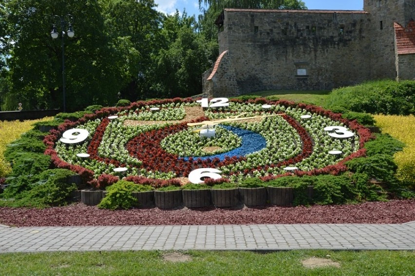 Nowy Sącz. Zegar kwiatowy pod zamkiem z logo ŚDM [ZDJĘCIA]