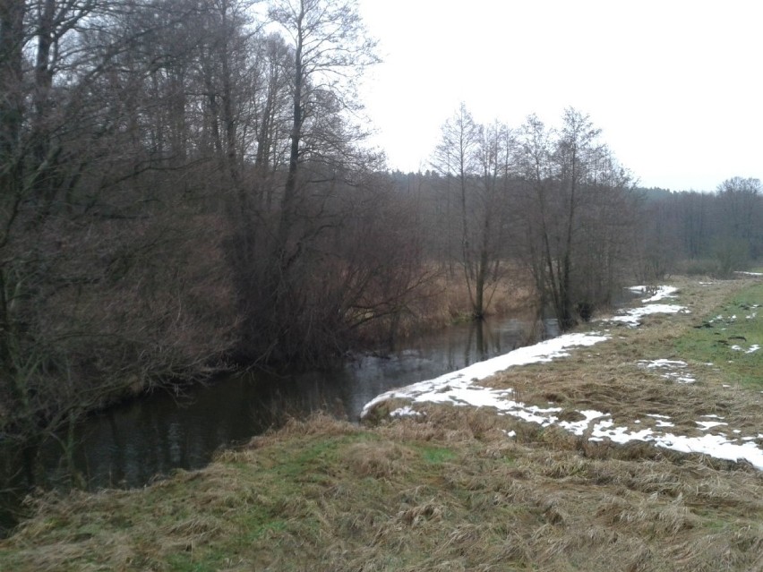 Spływ kajakowy rzeką Wierzycą