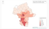 Na interaktywnej mapie można śledzić rozwój epidemii na Mazowszu