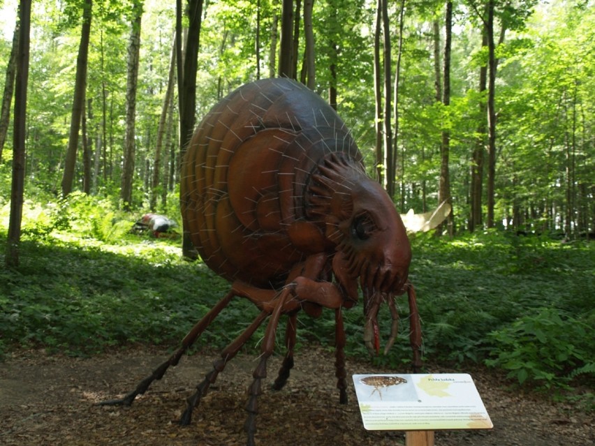 Gigantyczne owady można obejrzeć w Parku Handlowym Bielany