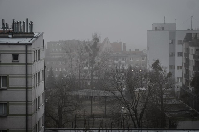 Stacje pomiarowe wskazują, że 9 października były dobowe przekroczenia szkodliwych dla zdrowia pyłów zawieszonych PM10. W środę sytuacja nie wygląda lepiej.