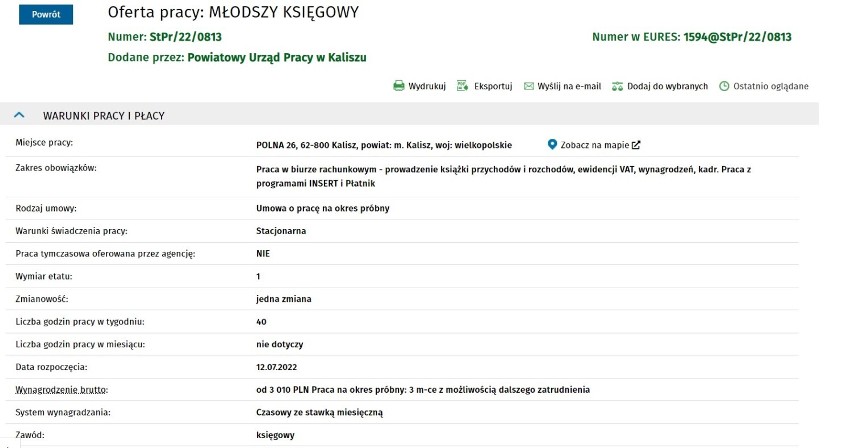 Oferty pracy w Kaliszu i powiecie kaliskim. Ile można zarobić? 