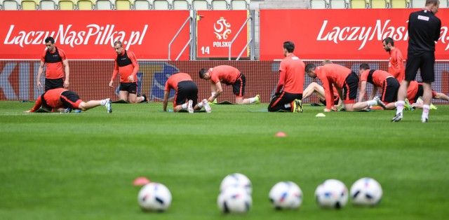 EURO 2016. Kiedy gra Polska? Gdzie zobaczymy mecze na żywo? [POLSKIE MECZE NA EURO 2016, TERMINARZ]