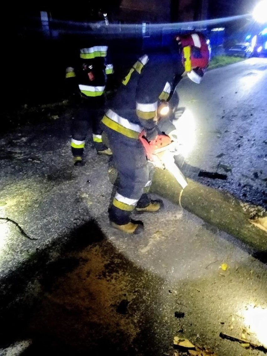 Silny wiatr do 80 km/h w woj. śląskim. Powalone drzewa i setki ludzi bez prądu [ZDJĘCIA]