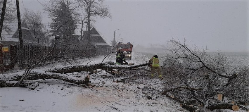 Wraca silny wiatr i intensywne opady. Prognoza Łowców Burz na najbliższe dni. Uwaga, może powiać naprawdę mocno!