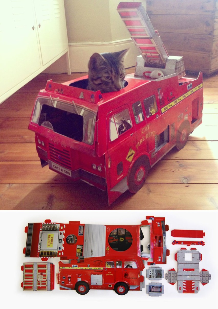 Oto najlepsze kocie zabawki na świecie. Zabawa dla kota i...