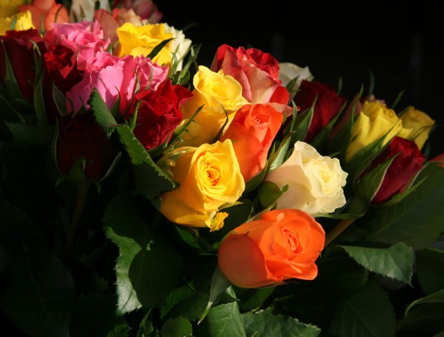 Imieniny 6 marca obchodzą: Róża, Jordan i Wiktor