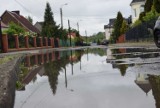 Przebudowa Klonowej w Koronowie jest w planach. Na razie można tam pływać kajakiem...