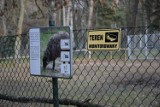 Śremskie ZOO: Urzędnicy zamontowali monitoring w parku im. Powstańców Wlkp.