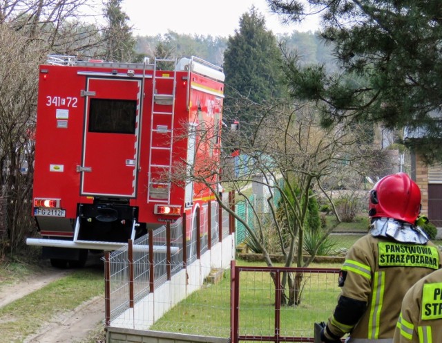 W piątek, 26 marca, starsza kobieta wpadła do ponad trzymetrowej studni wypełnionej wodą. 

Kobieta wybrała się na działkę. Chwila nieuwagi wystarczyła, by wpadła do studni, która miała otwarty właz. Na szczęście służby zostały szybko zaalarmowane. Z pomocą ruszyli zielonogórscy strażacy, w tym Specjalistyczna Grupa Ratownictwa Wysokościowego. 

Starsza pani cało wyszła z opresji i mogła wrócić do domu. 

Wideo: Jak udzielać pierwszej pomocy ofiarom wypadków

Czytaj także: W Zielonej Górze ktoś znowu chce okradać ludzi. Oszust podaje się za policjanta. Prawdziwi policjanci apelują: bądźcie ostrożni!