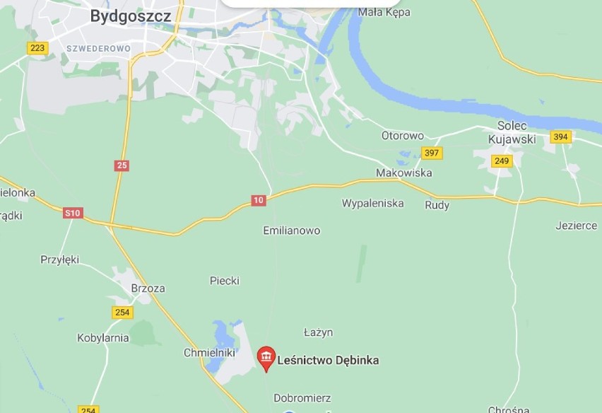 Pożar lasu na terenie Leśnictwa Dębinka pod Bydgoszczą. W akcji gaśniczej udział brał samolot