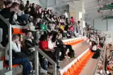 Piąty turniej siatkówki dziewcząt w Kostrzynie nad Odrą. Udział wzięło ponad 80 zawodniczek!  