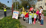 Akcja "Jabłko czy cytryna?" w Piotrkowie. Policjanci z drogówki wraz z przedszkolakami promowali bezpieczeństwo na drogach. ZDJĘCIA
