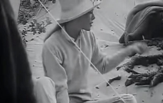 "Ruchome piaski" (1968) 

Władysław Ślesicki (twórca późniejszego filmu „W pustyni i w puszczy”), zdjęcia do filmu „Ruchome piaski” realizował na plażach Ustki.