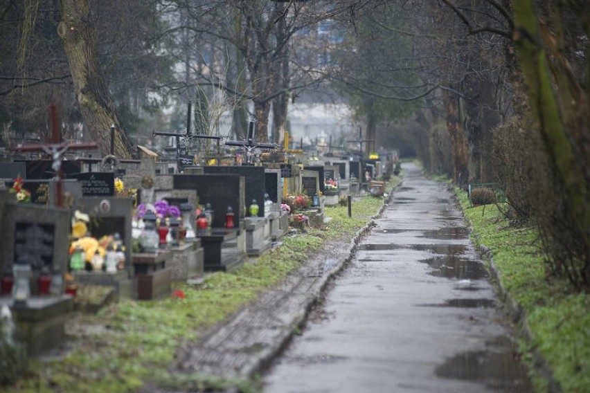 Tajemnicze szczątki na cmentarzu Rakowickim. "Mogą to być kości zbrodniarzy"