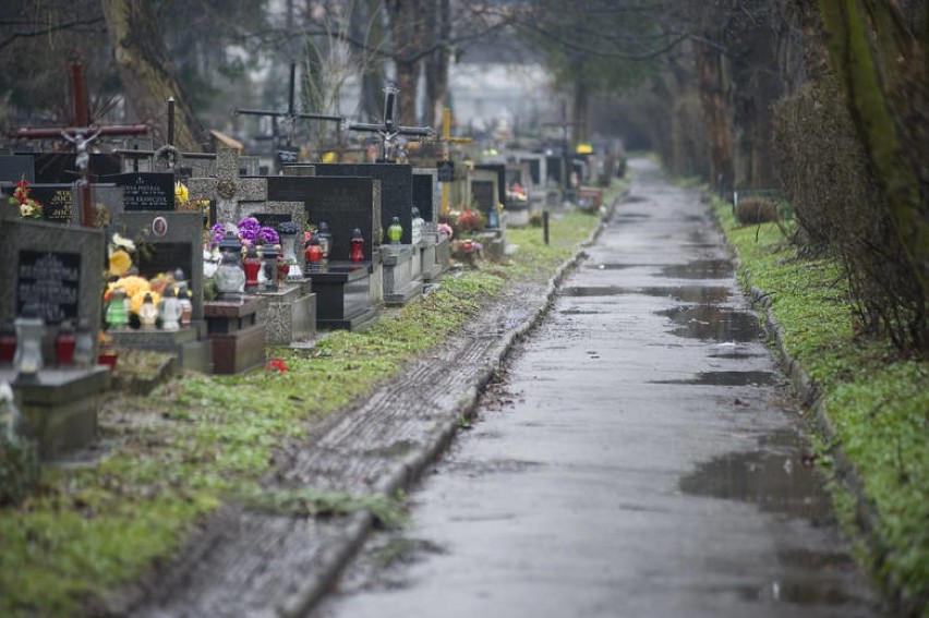 Tajemnicze szczątki na cmentarzu Rakowickim. "Mogą to być kości zbrodniarzy"