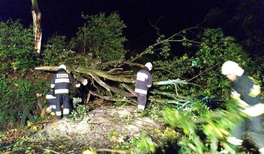 Silny wiatr do 80 km/h w woj. śląskim. Powalone drzewa i setki ludzi bez prądu [ZDJĘCIA]