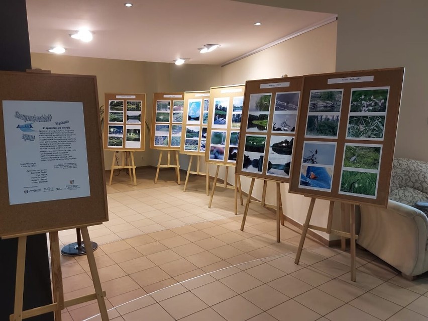 Wystawa fotografii uczestników wyprawy po Warcie w bibliotece. Zdjęcia robią duże wrażenie