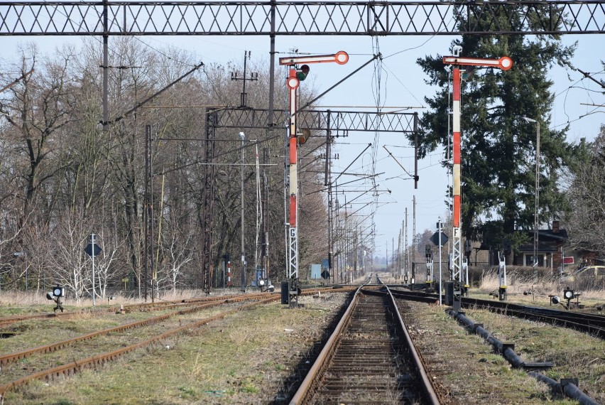 KROTOSZYN-WROCŁAW: Już 25 marca ruszą pociągi osobowe do stolicy Dolnego Śląska [NOWE ZDJĘCIA+FILM]