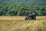 Te ciągniki rolnicze zaorają niejedno pole. Zobacz traktory, które kupisz na OLX do 10 tys. zł [OFERTY 29.03.2021]