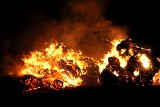 Pożar przy ul. Brzezińskiej w Bedoniu. Podpalono słomę w zakładach mięsnych