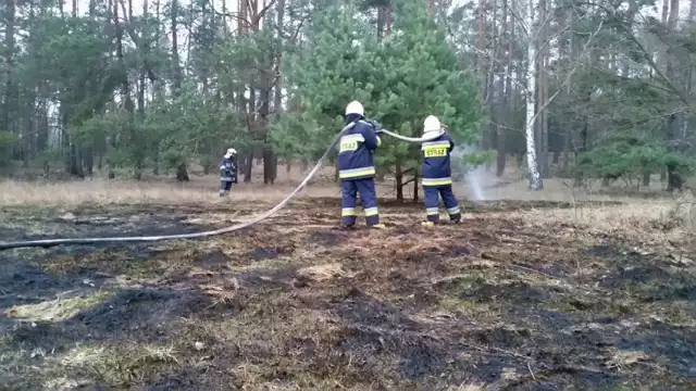 zdjęcie ilustracyjne