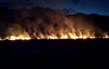 Łuny nocnych pożarów w dolinach Popradu i Dunajca. Trudne akcje strażaków