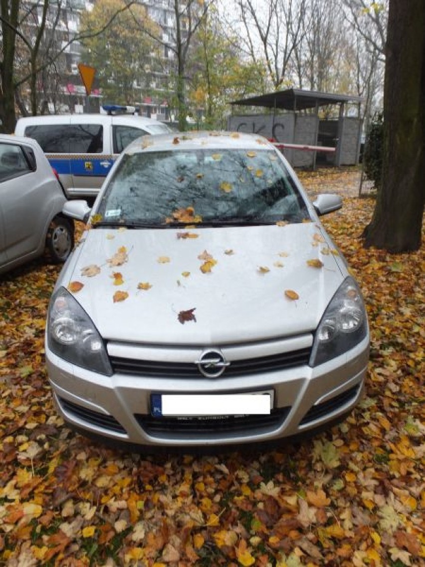 Akcja straży miejskiej na osiedlu Tysiąclecia