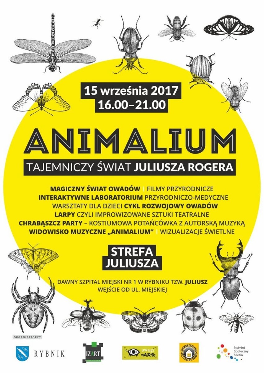 Dzień dobry Rybnik. Dziś Animalium i Alter Sport Festiwal