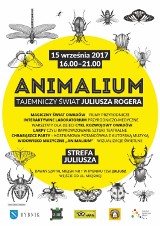 Dzień dobry Rybnik. Dziś Animalium i Alter Sport Festiwal
