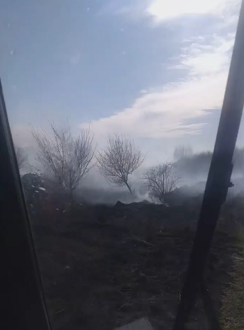 Gm. Lichnowy. Duży pożar nieużytków w okolicy Boręt Pierwszych. Ogień gasiły jednostki OSP z dwóch gmin oraz JRG Malbork