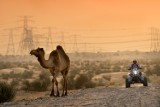 Rafał Sonik jedzie w Abu Dhabi Desert Challenge 2013 [zdjęcia]