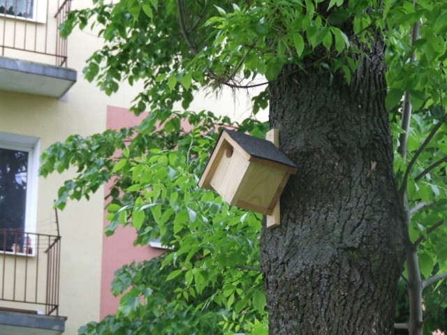 Zamość: Ptaki będą bezpieczniejsze. Trwa montaż budek lęgowych