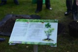 Zielona Góra. Ogród Botaniczny przygotowuje się do rozbudowy - zyska kolejne 6 hektarów. W planach m.in. park leśny