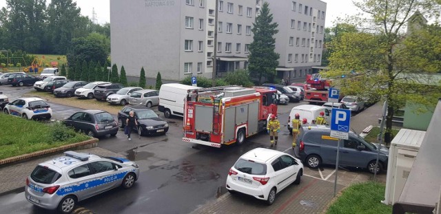 Straż pożarna interweniowała w bloku przy ul. Naftowej w Sosnowcu

