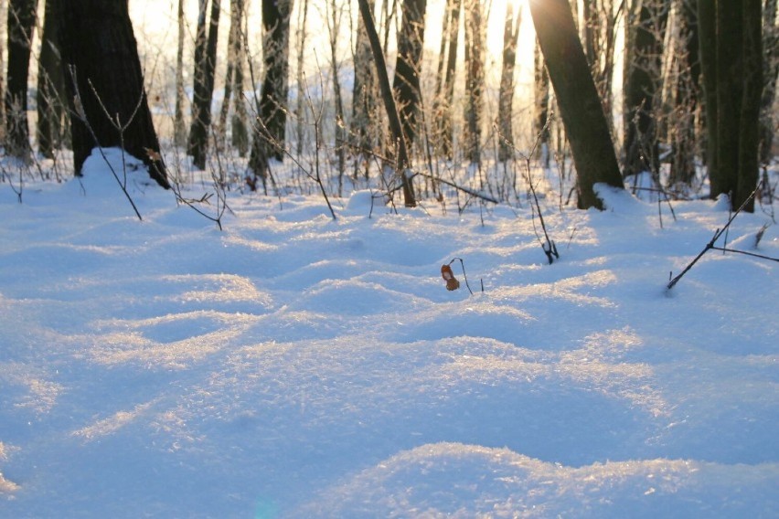 IMGW ostrzega. W pow. wieluńskim i okolicznych spodziewane są intensywne opady śniegu