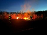 Strażacy apelują: nie wypalajmy traw! Można za to dostać karę do 30 tys. zł. 