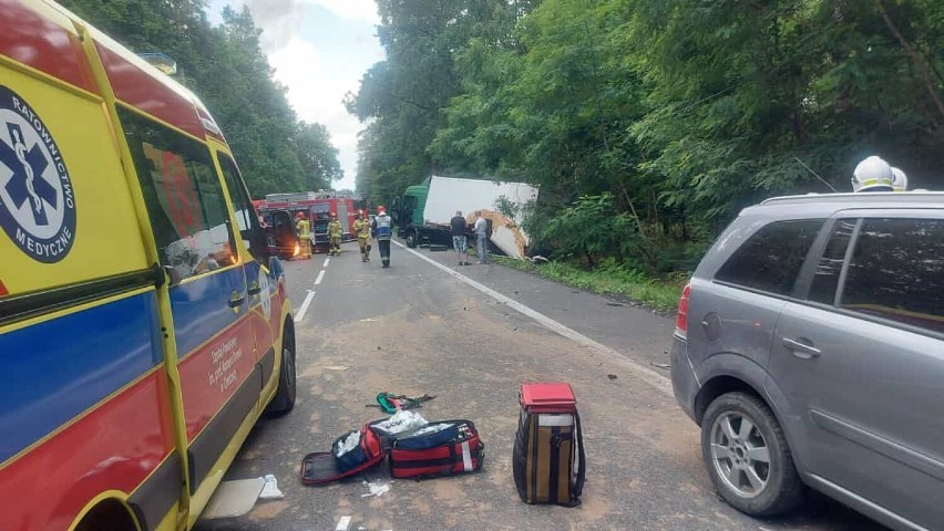 Dziecko zginęło w wypadku na DK11 w pobliżu Budzynia. Opel wjechał wprost na ciężarówkę