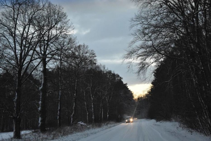 Powiat nowotomyski: Przypominamy, jak wygląda... śnieg