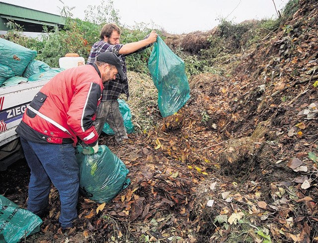 Tylko we wtorek do kompostowni zostały przywiezione prawie 27,5 tony liści.