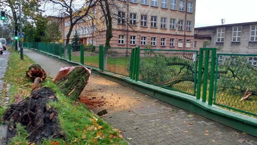 Orkan Ksawery - straty w Sosnowcu